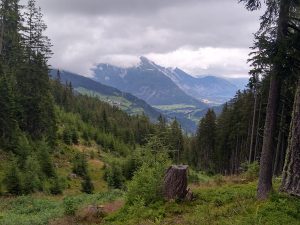 Auf dem Alten Almweg mit Blick ins Tal