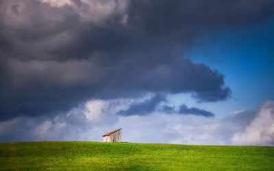 Der Sommer, der keiner war
