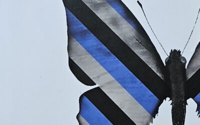 Rezension: Der Club von Takis Würger